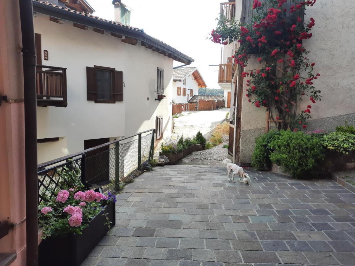 L'Antica Canonica Di Casa Bernardi, Wi-Fi Posto Auto Pet Friendly Trento Dış mekan fotoğraf